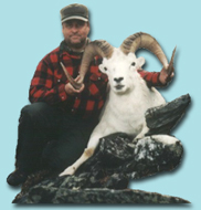 alaska dall sheep hunting
