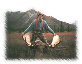 alaska moose hunting