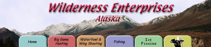 Wilderness Enterprises - Alaska Big Game Hunting